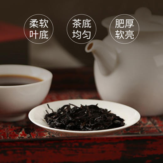 黑制普洱散茶200g 商品图5