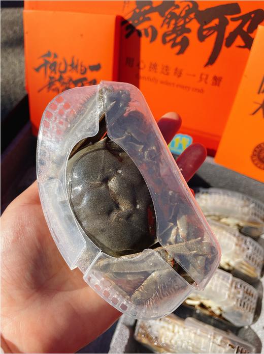 阳澄湖大闸蟹高端礼盒 商品图4
