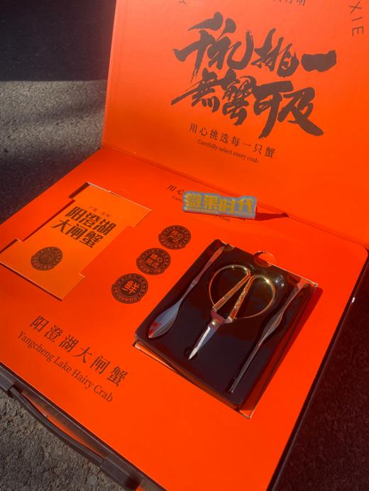 阳澄湖大闸蟹高端礼盒 商品图3