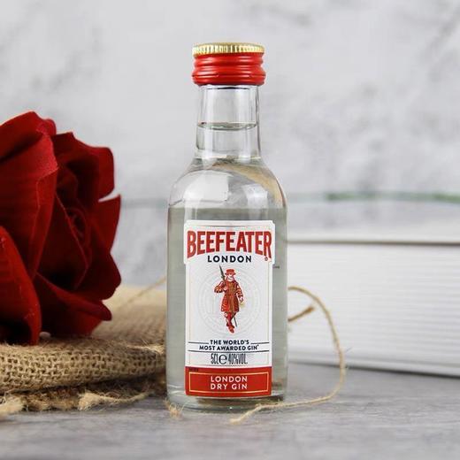 英国必富达金酒小洋酒50ml/瓶 商品图0