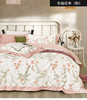 全棉磨毛印花四件套 商品缩略图8