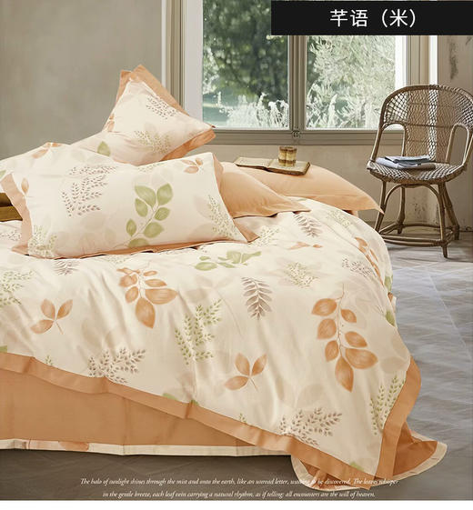 全棉磨毛印花四件套 商品图6