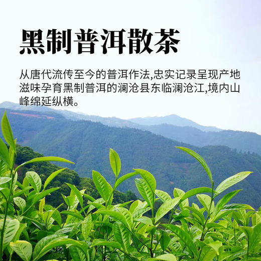 黑制普洱散茶200g 商品图1