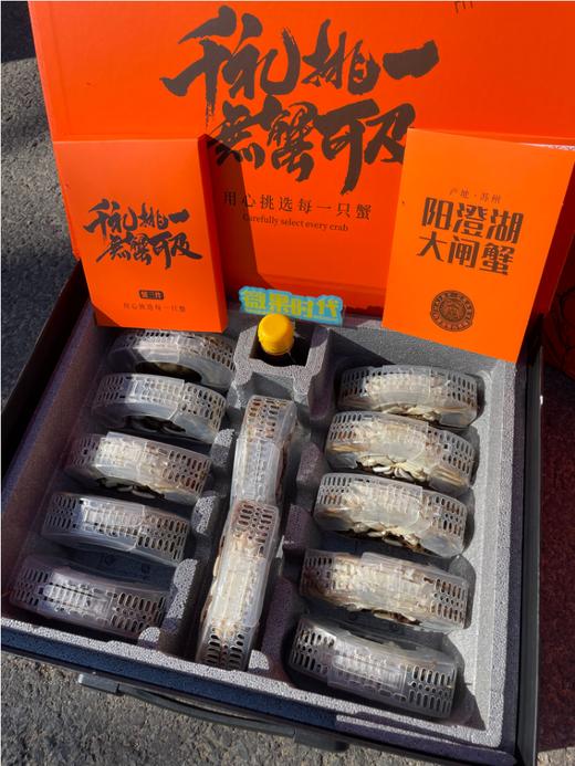 阳澄湖大闸蟹高端礼盒 商品图6