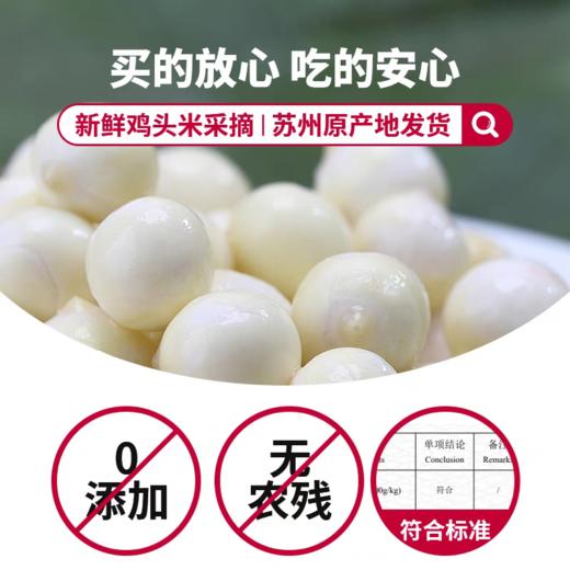 机剥鸡头米 (江浙沪专享)  苏州特产 商品图3