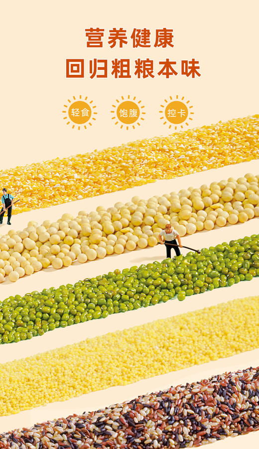 精神谷励1.5kg 商品图5