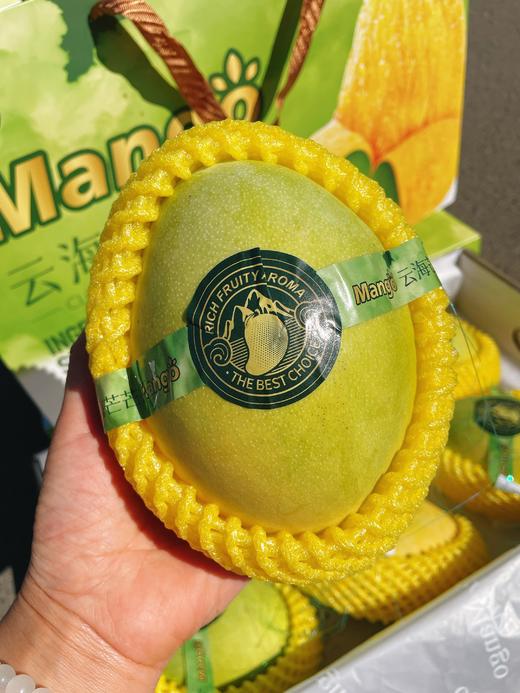 云海茫茫澳芒一箱 商品图2