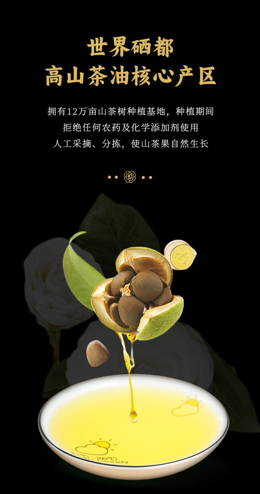 暮秋坊有机山茶油500ml/1L/2.5L 商品图3