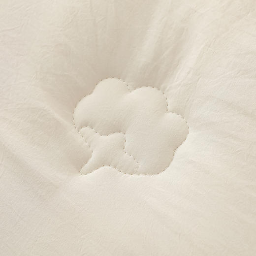 【多样屋专柜】悠梦嘉居深睡温控暖绒被 水洗棉面料200*230CM 2000克  商品图4