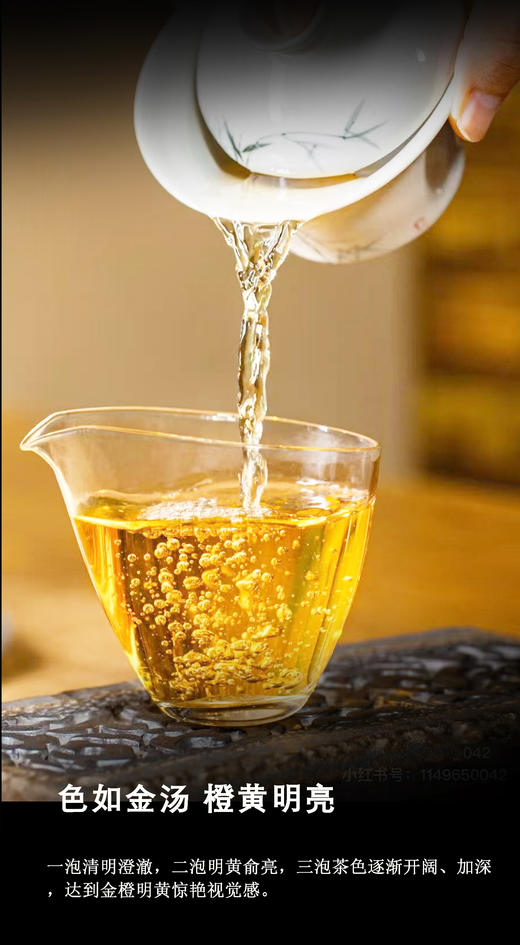 生普 | 【镇店之宝】洪海古树 2014年300年古树春茶 老曼峨357g/饼 商品图2