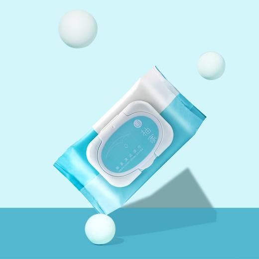 柚家清洁湿巾80片/包 5包/箱9263 商品图0