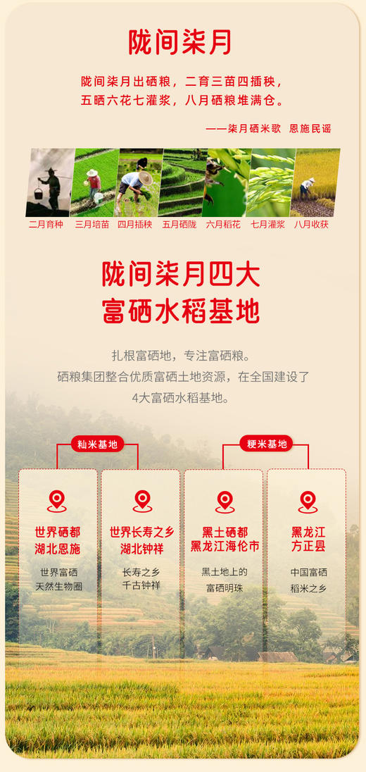 甄选富硒原米2.5kg/5kg 商品图6