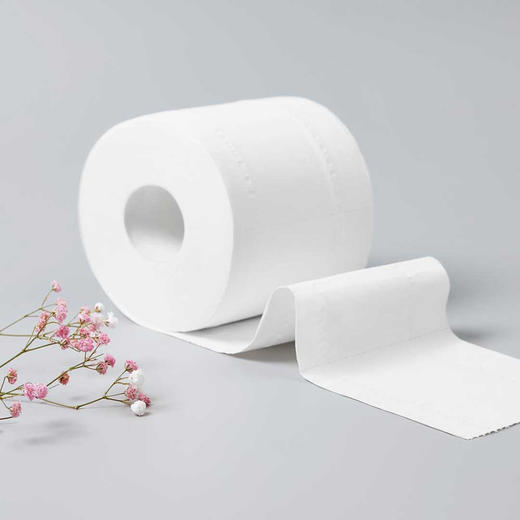 柚家卷纸（轻奢版）4层 160克/卷 20卷/箱22775 商品图1