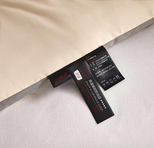 4公斤火山岩冬被 商品图2