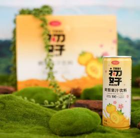 初好刺梨果汁饮料240ml*12