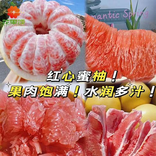 特价红柚 商品图0