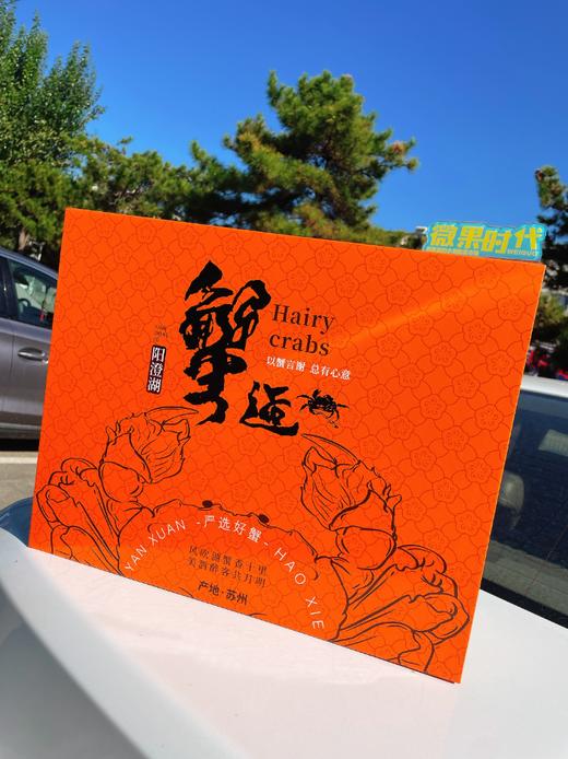 阳澄湖大闸蟹高端礼盒 商品图1