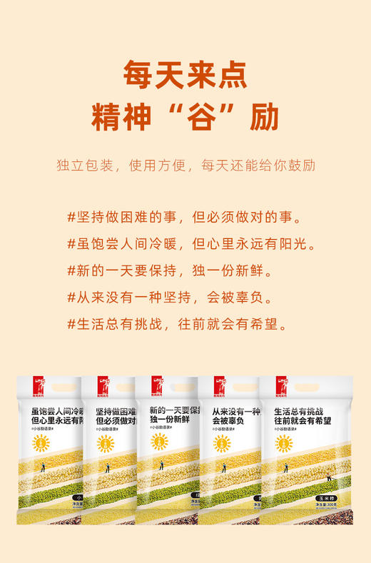 精神谷励1.5kg 商品图3