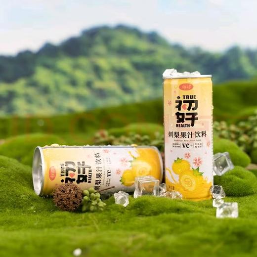 初好刺梨果汁饮料240ml*12 商品图1
