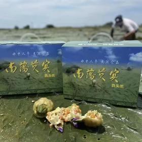 机剥鸡头米 （全国）1KG装含箱，4袋（约200克装，净重0.8-1KG） 苏州特产