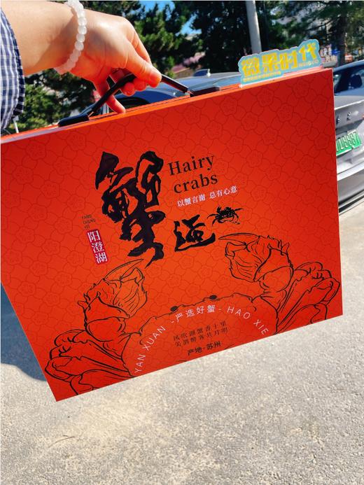 阳澄湖大闸蟹高端礼盒 商品图0
