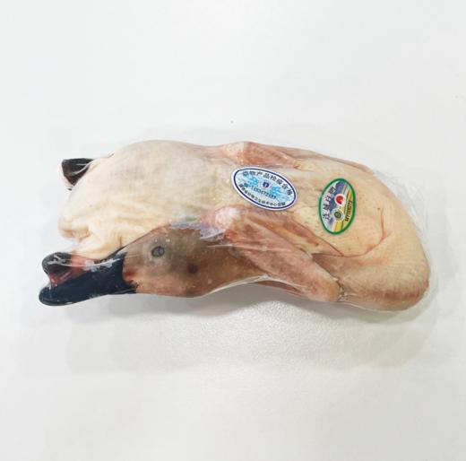 0597【国企严选，山海食材】特S级连城白鹜鸭 商品图0