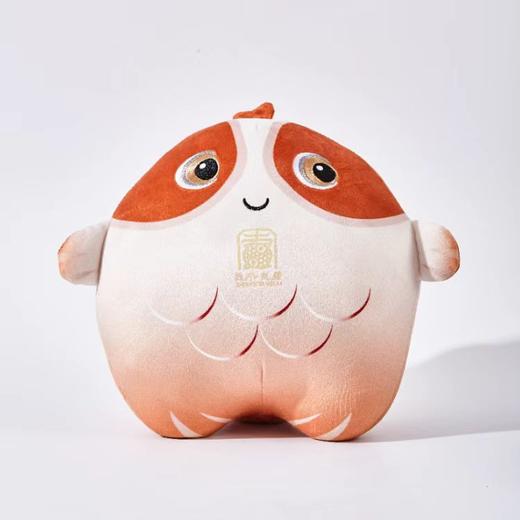 0593【国企严选，山海食材】周宁有鲤公仔橙（鲤鲤） 商品图0