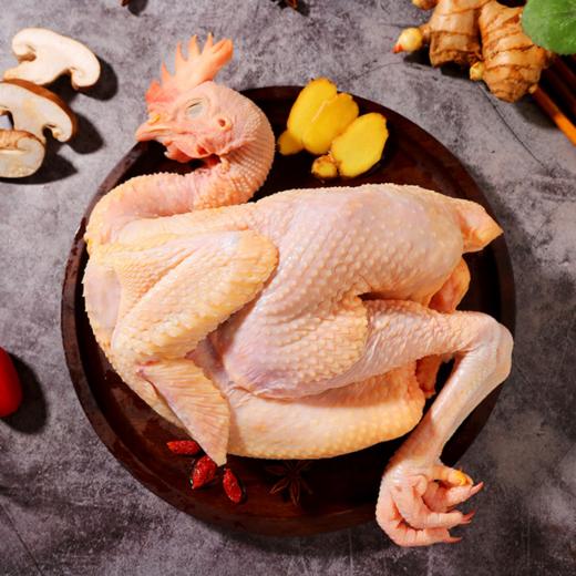 0597【国企严选，山海食材】160天纯种河田小公鸡 商品图3