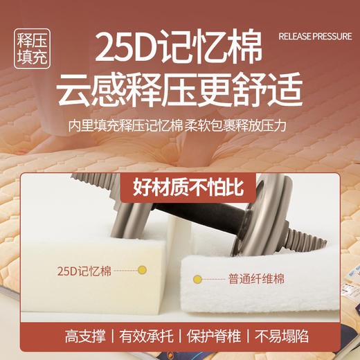 自然醒德芙绒记忆棉两用5厘米床垫垫子LN 商品图4