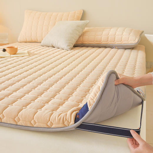 自然醒德芙绒记忆棉两用5厘米床垫垫子LN 商品图6