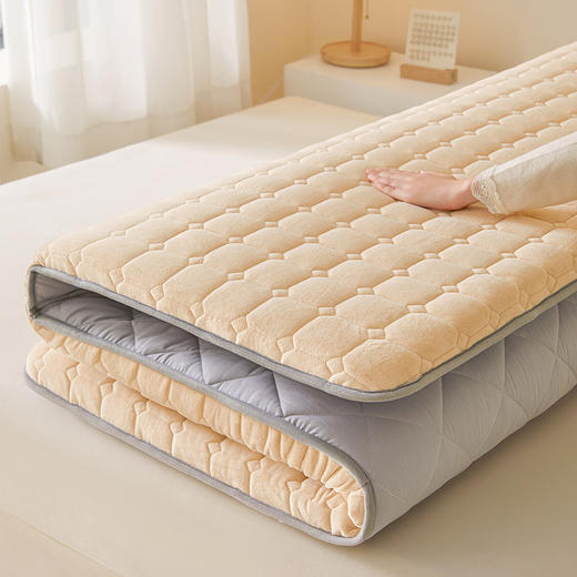 自然醒德芙绒记忆棉两用5厘米床垫垫子LN 商品图13
