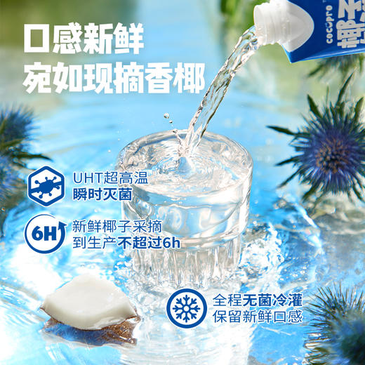 椰子知道【泰国原装进口】100%椰子水330ml*6 商品图2