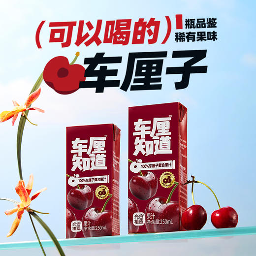 椰子知道100%复合车厘子果汁250ml*10 商品图1
