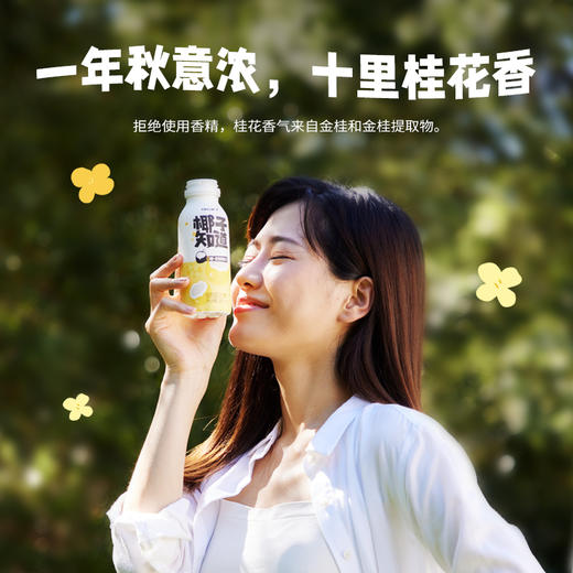 椰子知道0糖金桂鲜椰汁280ml*6 商品图2