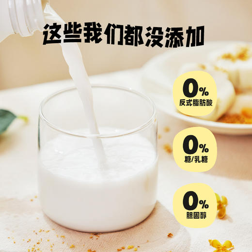 椰子知道0糖金桂鲜椰汁280ml*6 商品图4