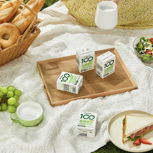 可可满分无糖椰乳200ml*8瓶 商品图2