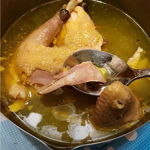 有机跑山鸡 （山东）| 散养于有机农牧场的原生态山林中 商品图2