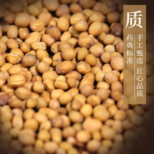炒芥子 康美中药材 独立小包装10g起 商品图2