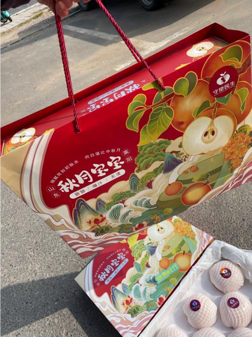 守望民生秋月梨一箱 商品图0