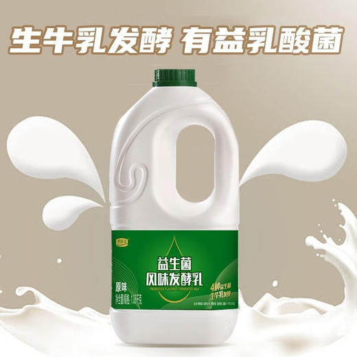 DH 君乐宝益生菌酸奶大桶装低温酸奶活性风味发酵乳原味大瓶益生菌桶 1080g 商品图3