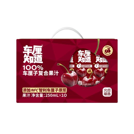 椰子知道100%复合车厘子果汁250ml*10 商品图8