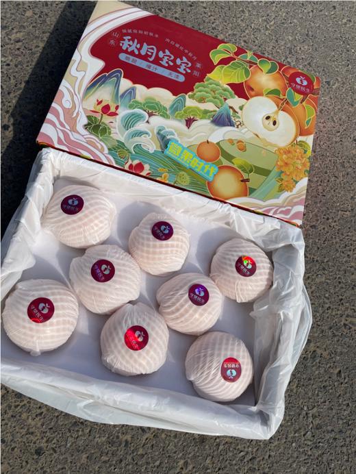 守望民生秋月梨一箱 商品图3