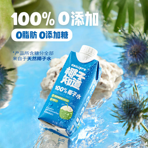 椰子知道【泰国原装进口】100%椰子水330ml*6 商品图4