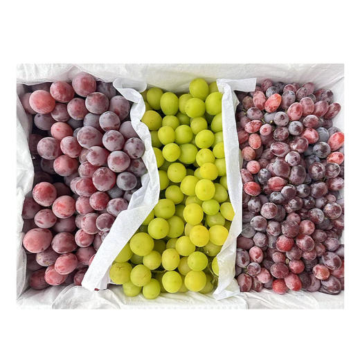 （金新农）新疆克伦生双色/三色葡萄组合带箱5斤/带箱10斤装 商品图1