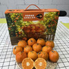 克莱蒙南非软皮蜜桔礼盒（12个装） 商品缩略图2