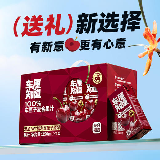 椰子知道100%复合车厘子果汁250ml*10 商品图2