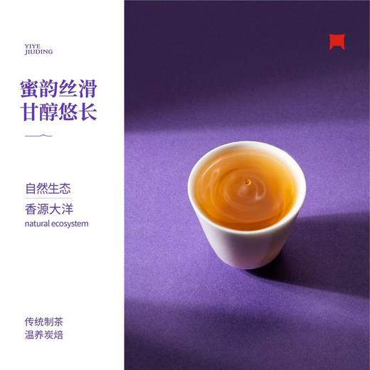 福鼎白茶 | 一叶九鼎2020年 九鼎星愿 便携装120g 商品图3
