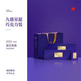 福鼎白茶 | 一叶九鼎2020年 九鼎星愿 便携装120g