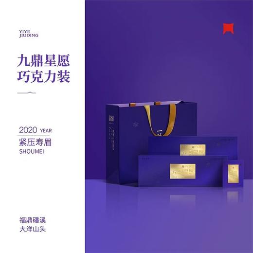 福鼎白茶 | 一叶九鼎2020年 九鼎星愿 便携装120g 商品图0