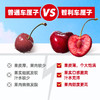 椰子知道100%复合车厘子果汁250ml*10 商品缩略图5